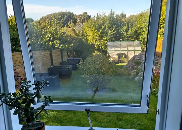 Cozy With Terrace